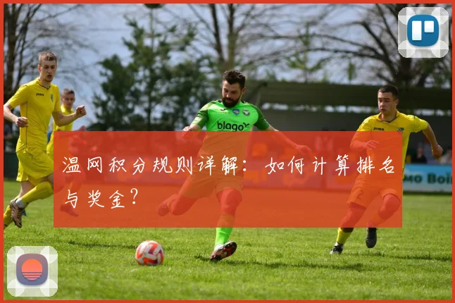 温网积分规则详解：如何计算排名与奖金？